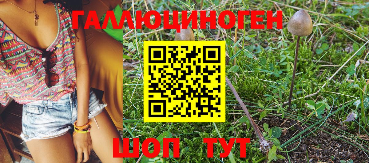 Галлюциногенные грибы Magic Shrooms Кувандык